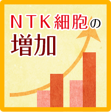 NTK細胞の増加