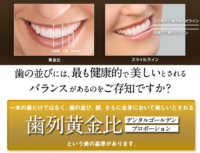 歯列黄金比