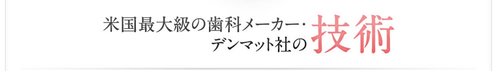 米国最大級のメーカー・デンマット社の技術